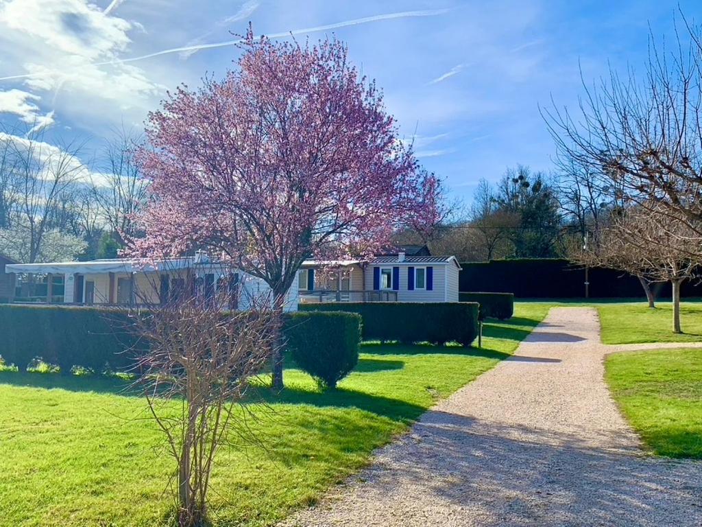 Camping Familial Paisible Avec Piscine, Mobil Home , Chalet, Studio & Emplacement Nue Casties-Labrande Exterior photo